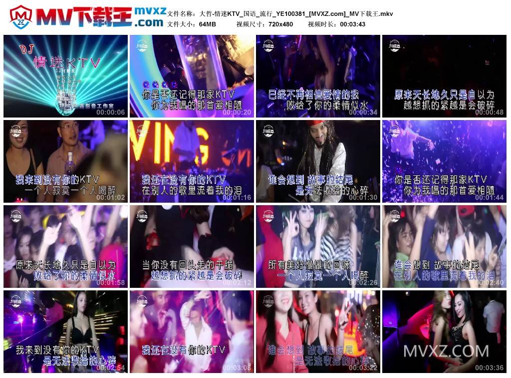 大哲-情迷KTV_国语_流行_YE100381